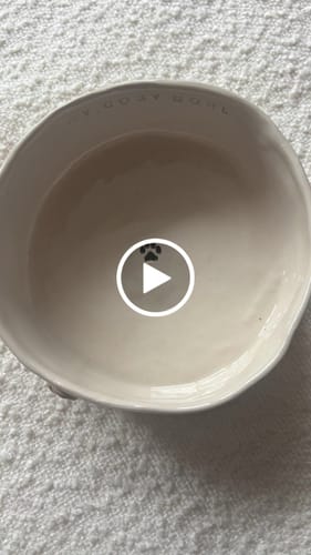 Customer video review of The Cosy Café Dog Bowl - Naetive x By Teddy