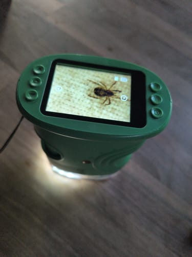 Das grüne Edubini Abenteuer-Mikroskop eines Kunden, das eine Spinne auf seinem Bildschirm vergrößert darstellt.