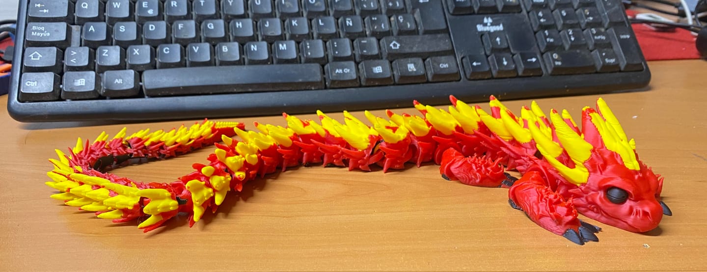 Customer photo review of Anycubic Kobra S1 Combo