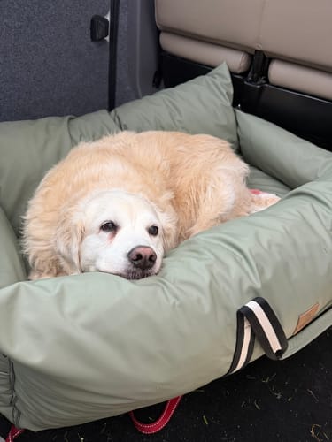Customer photo review of The Dog Dock V2 New & Improved with ISO Fix