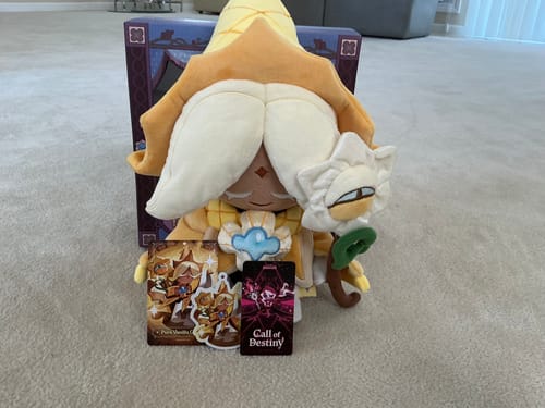 Customer's plush Cookie Run Cookie Doll displayed on a carpet in front of its box, with two collectible cards.