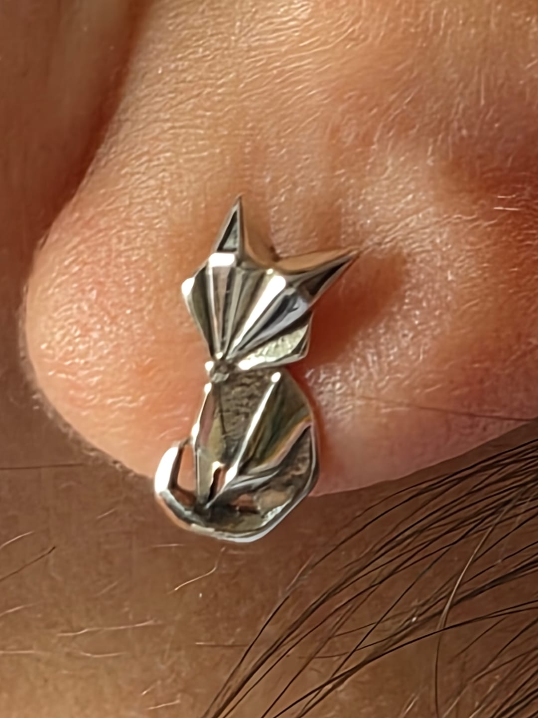 Customer photo review of Aretes Zorros - Plata .925