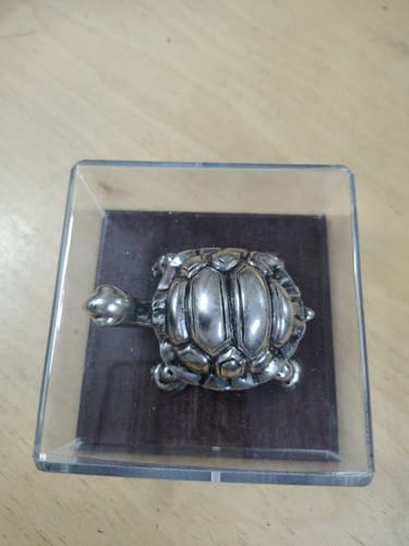 Customer photo review of 999 Silver Tortoise Idol