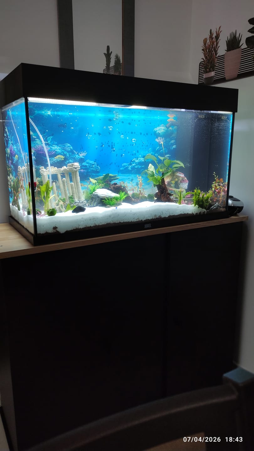 Customer photo review of Substrat de Sol Blanc Neige Sansibar Snow JBL - 10 kg