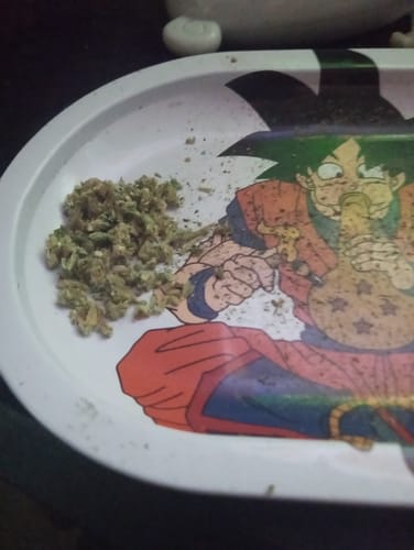 Customer photo review of Gold Spectrum THCA Flower (Top) - Blueberry Caviar