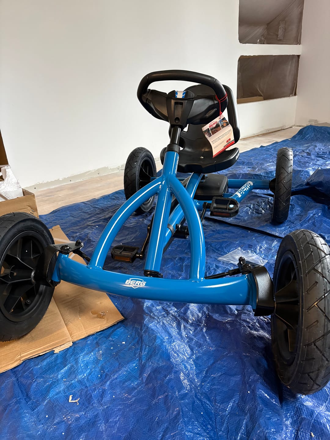 Customer photo review of BERG Buddy