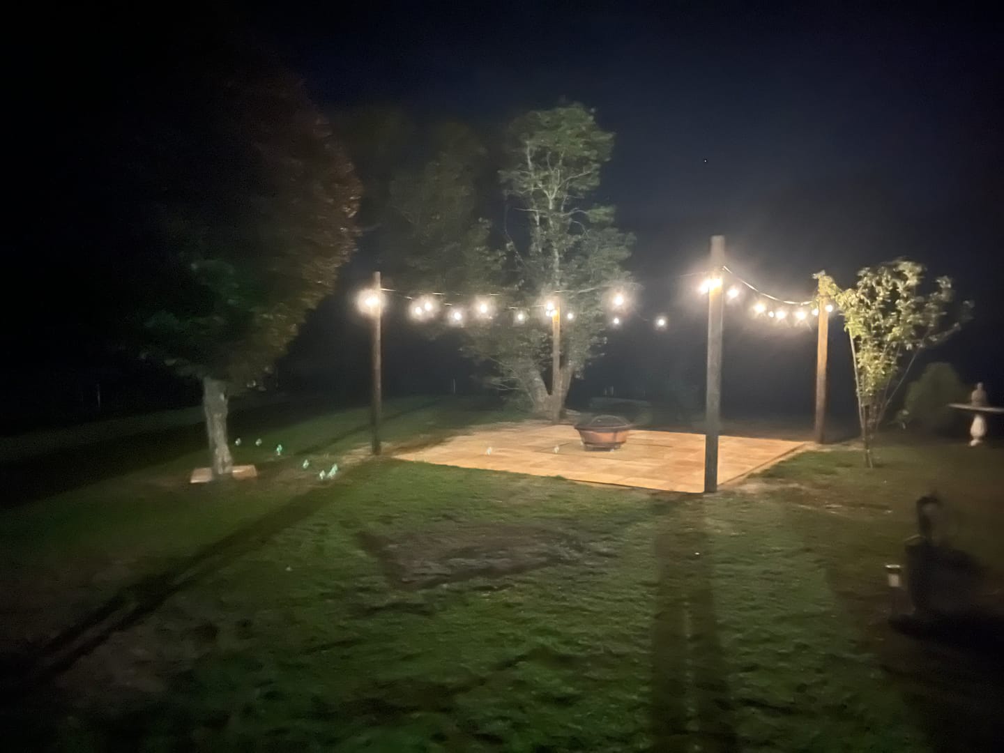 Customer photo review of Festoon Solar Lights