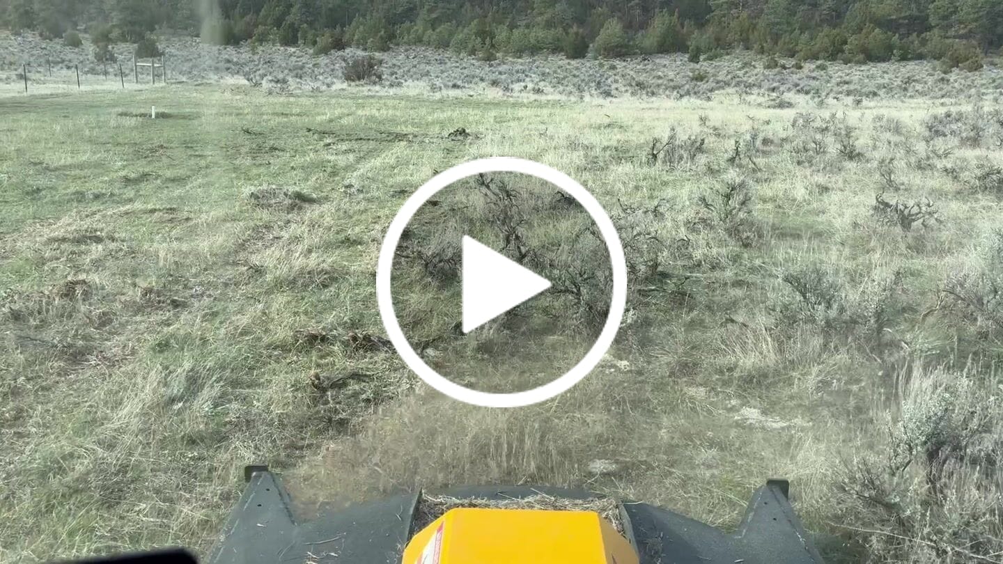 Customer video review of The EZ Mow - Brush Cutter/Mower
