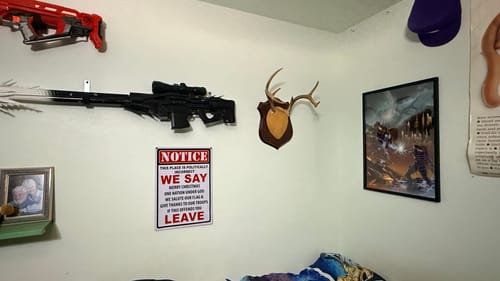Customer photo review of Bespoke Painting For Luke - Titanfall x Mass effect - A2
