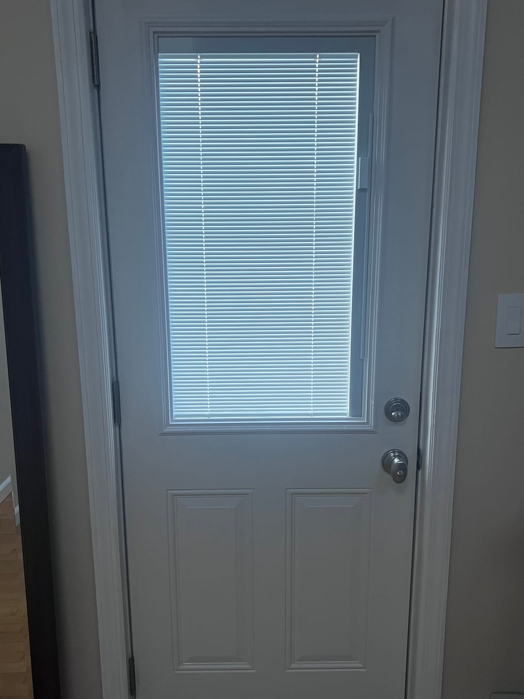 Customer photo review of Raise & Lower Blinds Glass and Frame Kit (Half Lite)