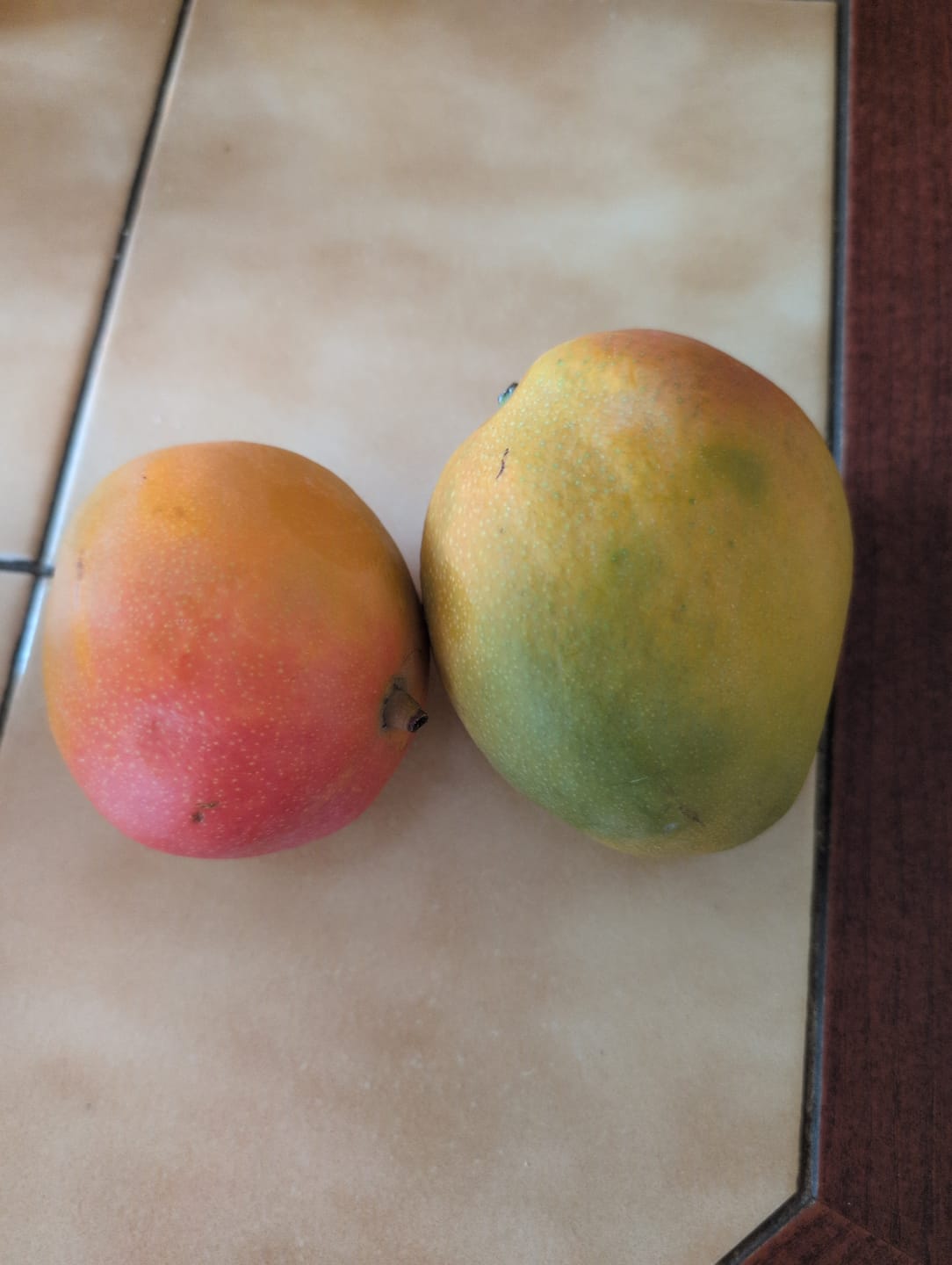 Customer photo review of Mango Kent Premium Bio von Karina baumgereift
