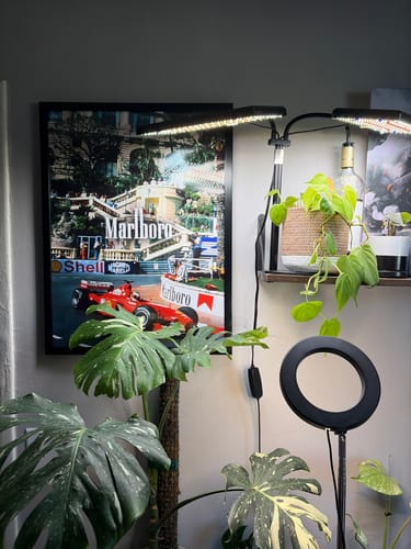 Customer photo review of Monaco F1