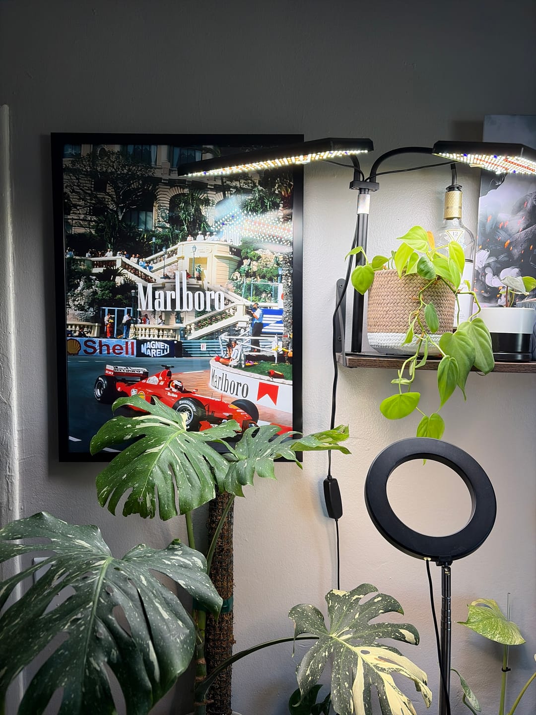 Customer photo review of Monaco F1
