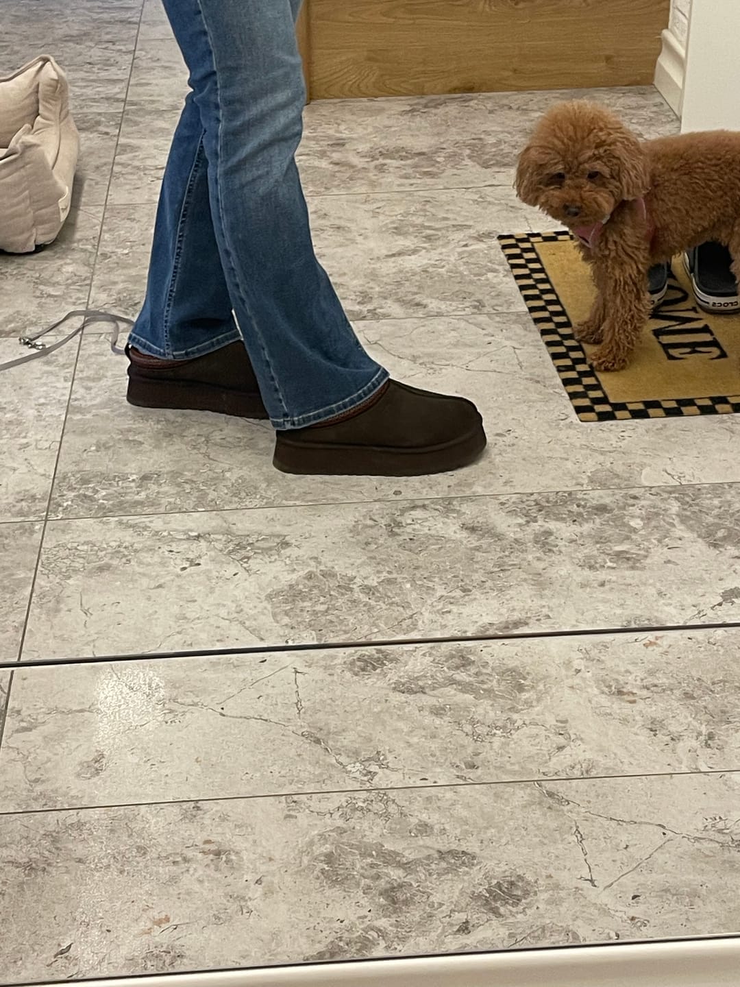 Customer photo review of UGG Women's Tazz II Dusted Cocoa