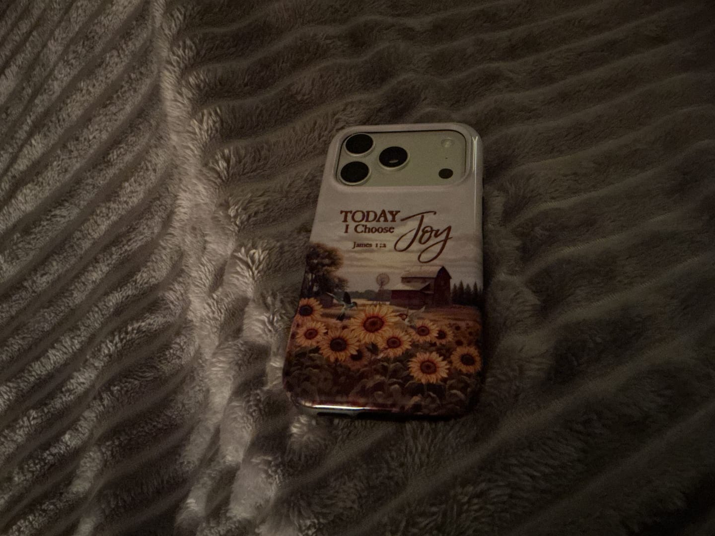 Customer photo review of Today I Choose Joy James 1:2, American Farm, Phone Case