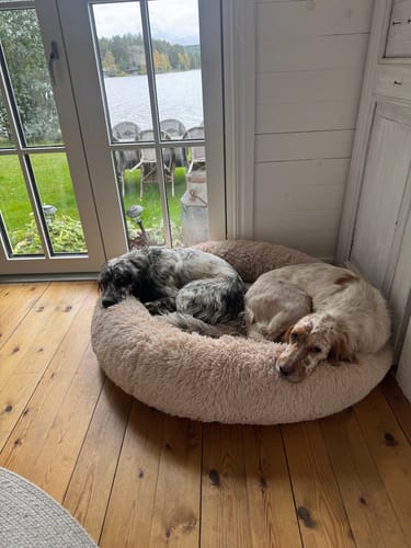 Customer photo review of CalmBed - Motverkar stress & hjälper mot ångest