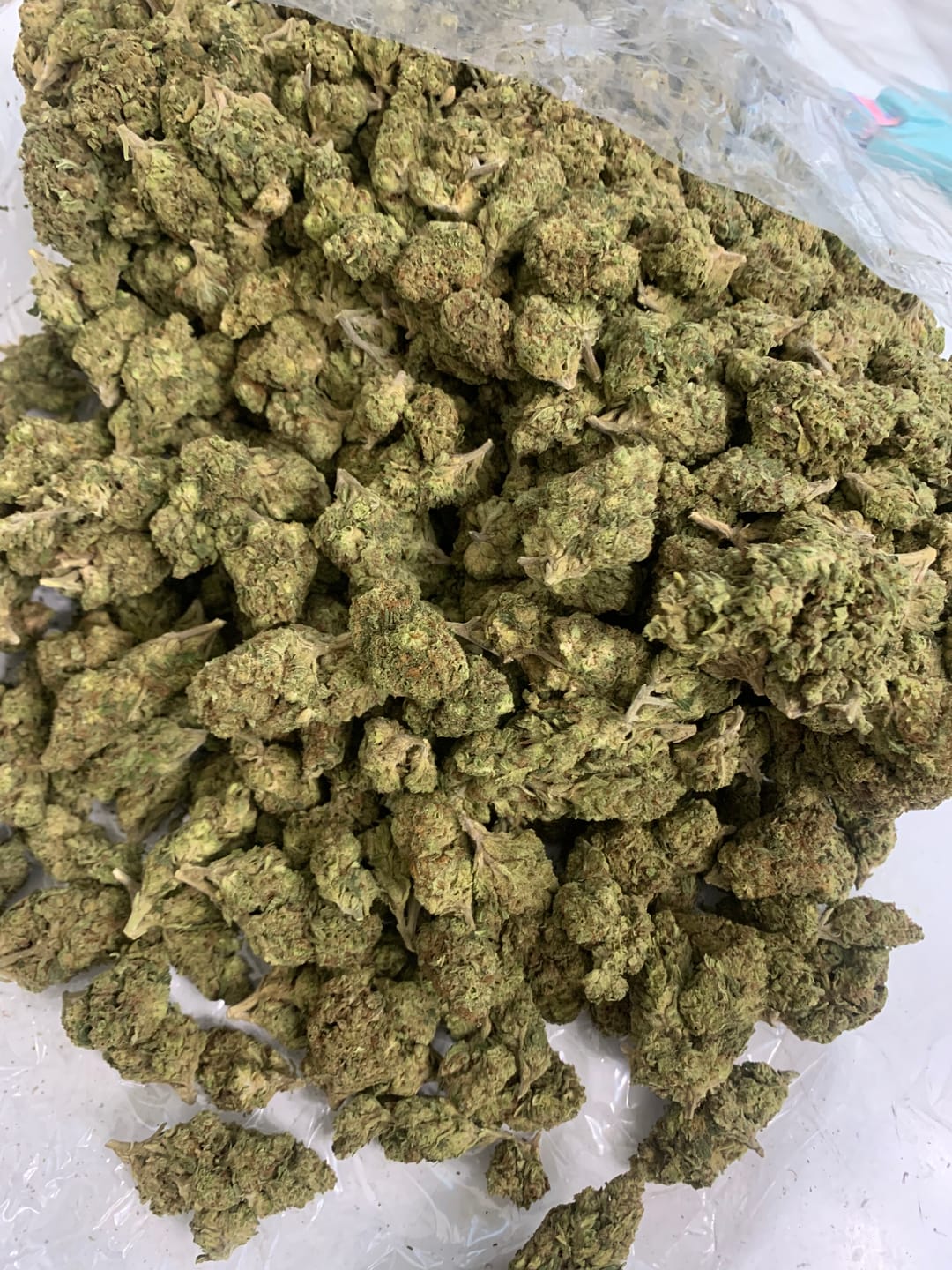 Customer photo review of Sour OG - Bulk - Hybrid