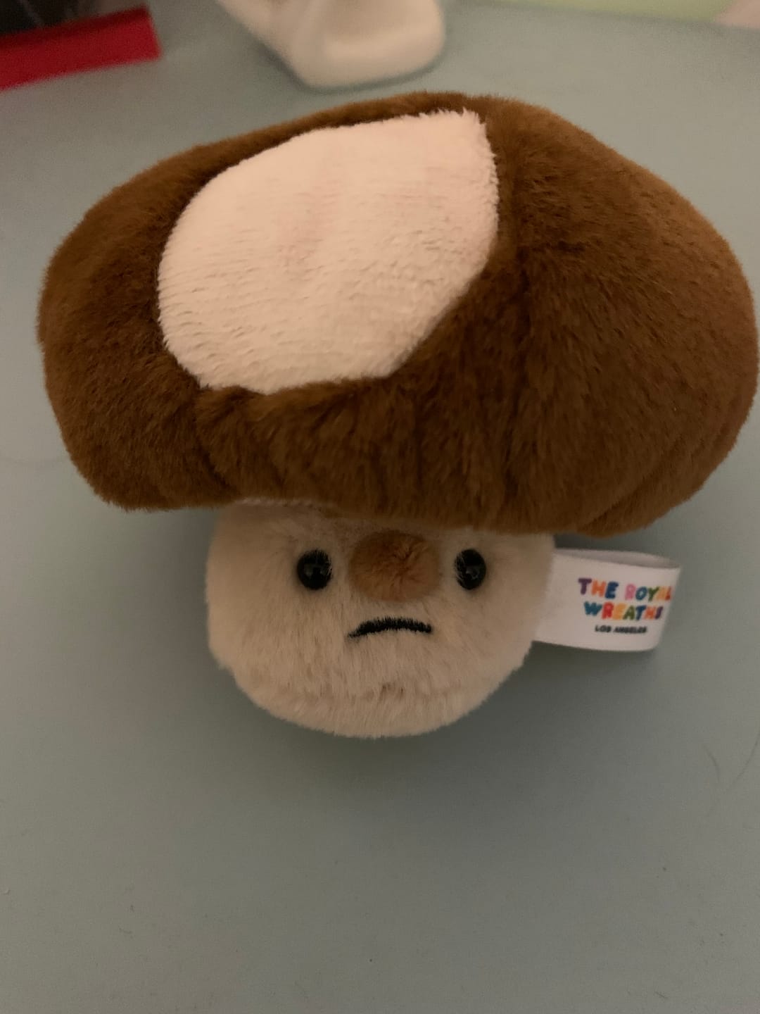 Customer photo review of Forgotten Bitten Shiitake Mushroom (Preorder for Mid March)