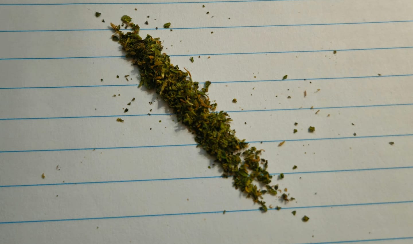 Customer photo review of Diamond Rain Runtz Greenhouse THCA