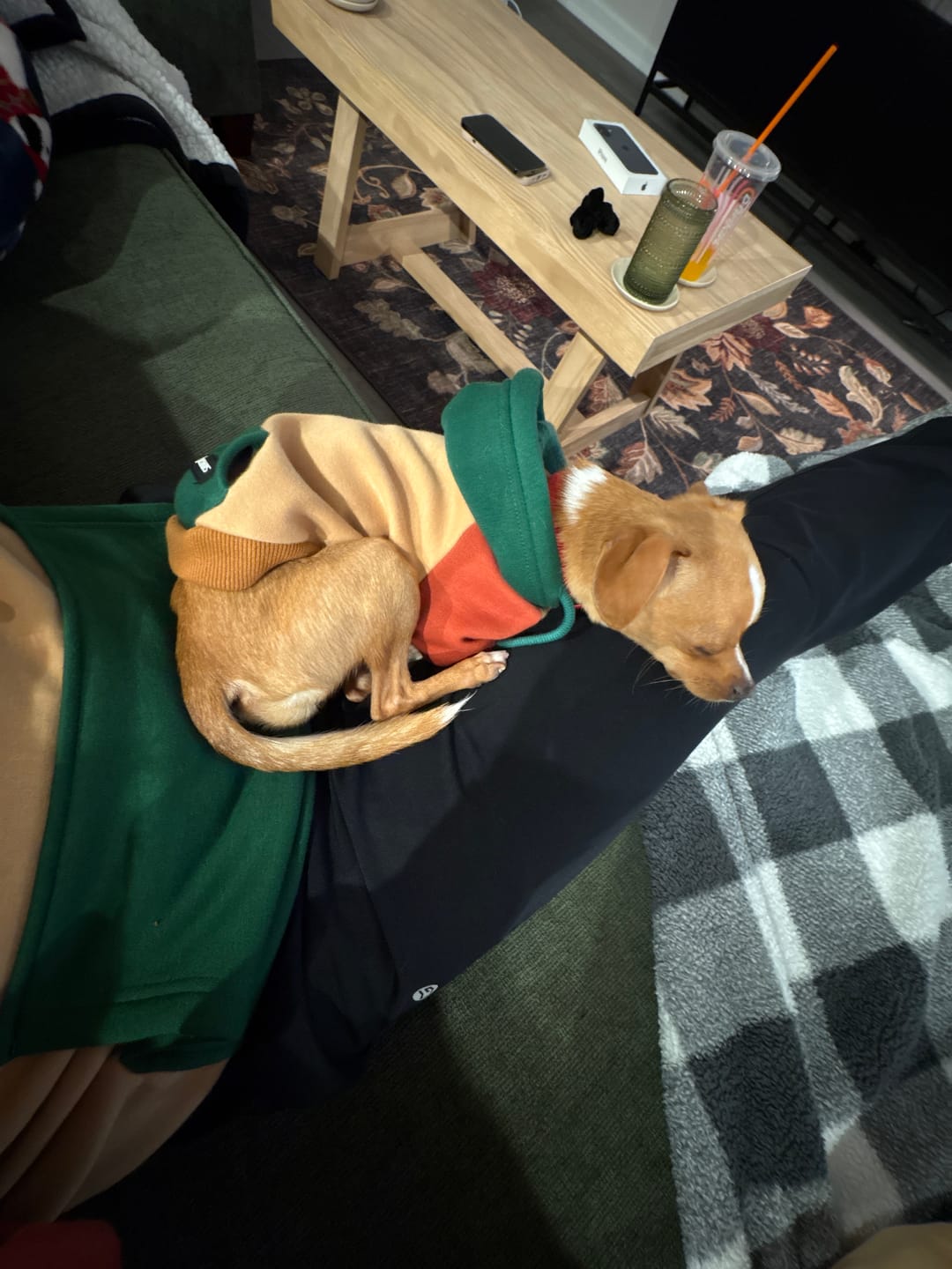 Customer photo review of Ranger Dog Hoodie