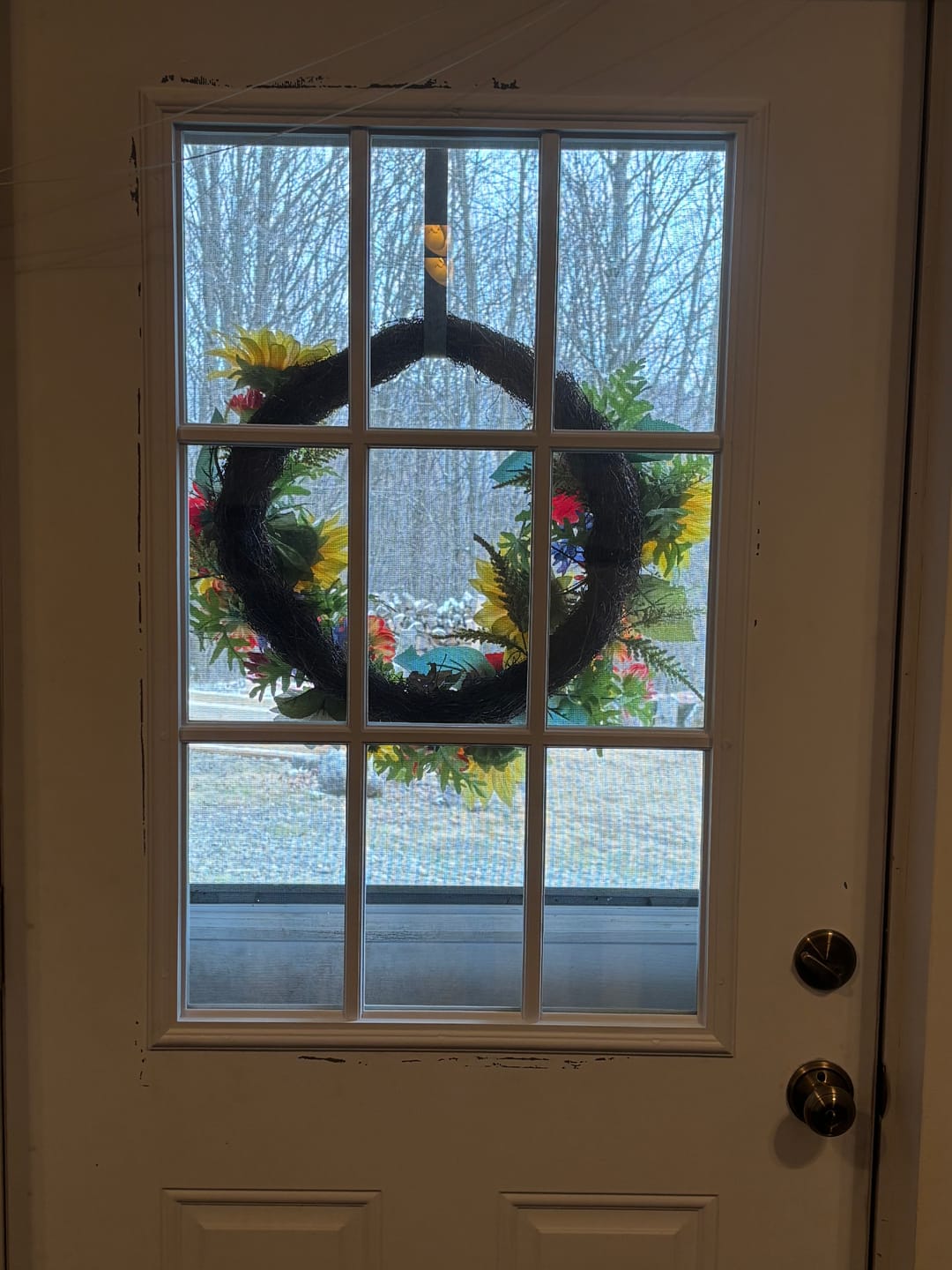 Customer photo review of Clear 9 Lite Glass and Frame Kit (Half Lite)