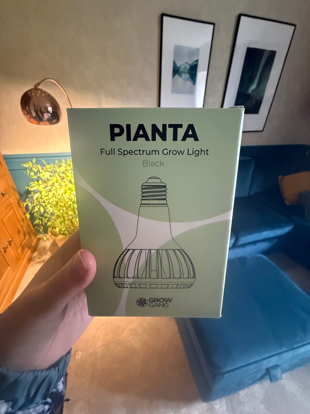 Customer photo review of Pianta LED Grow Light Bulb : Black