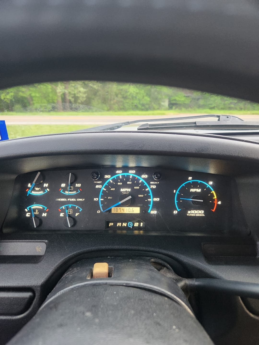 Customer photo review of Diesel Midnight DashSkinz