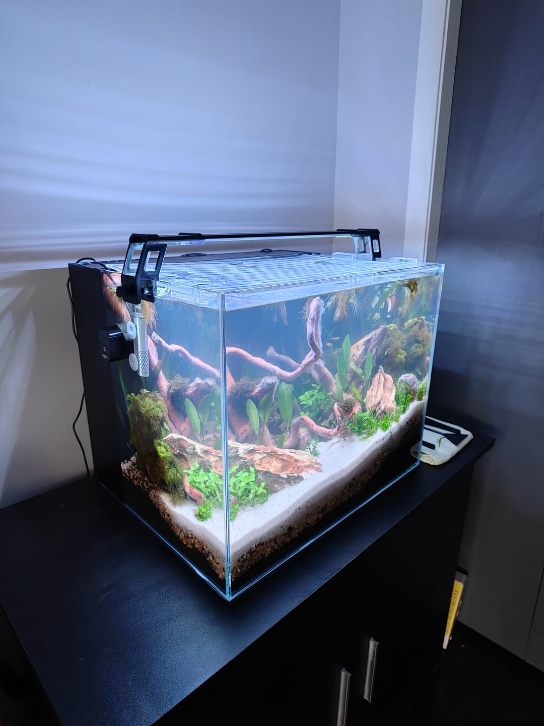 Customer photo review of Peter's Aquaverse Integra Series Aquarium Kit