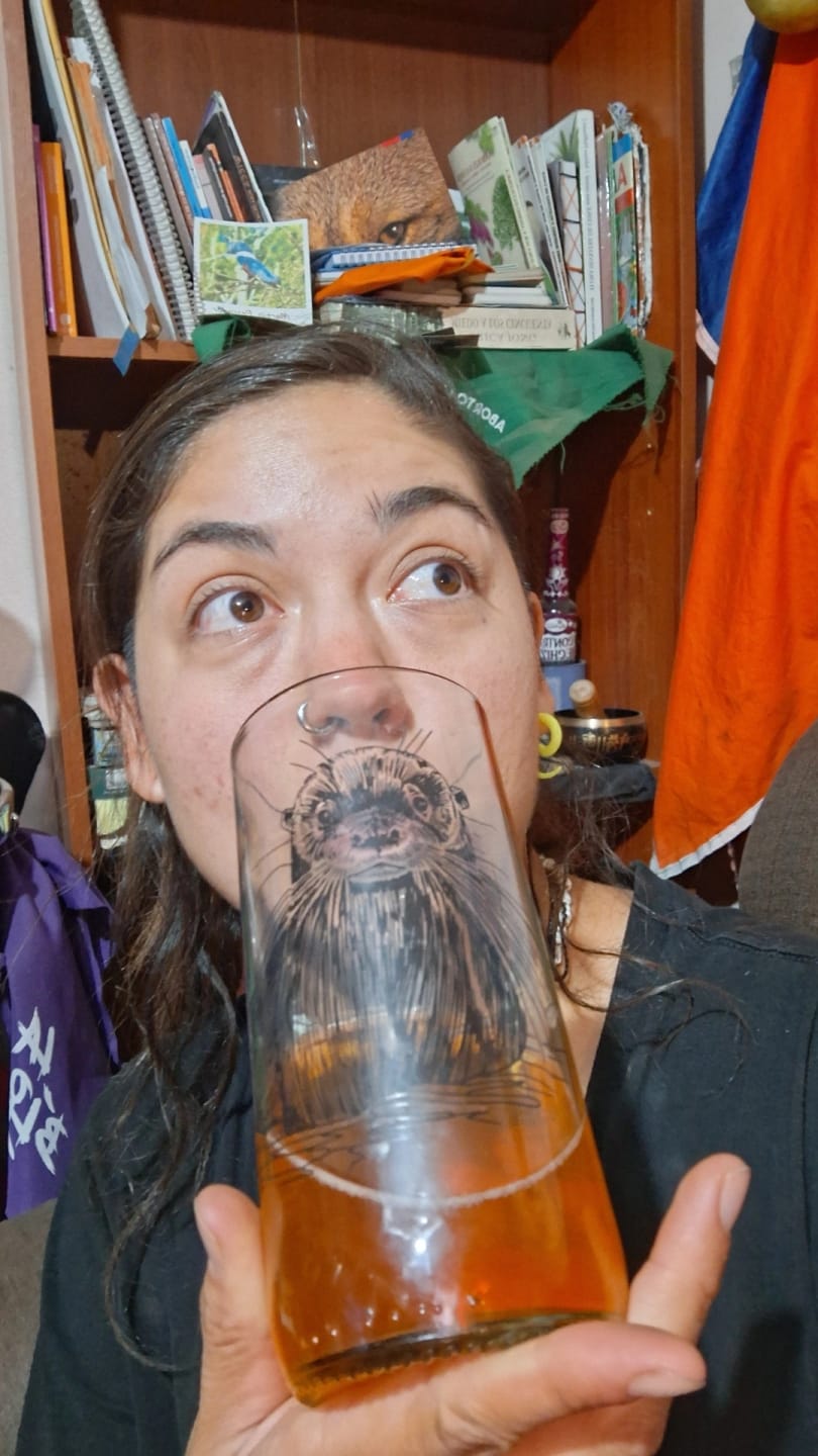 Customer photo review of Fauna Chilena - Juego de 6 vasos - 500 m
