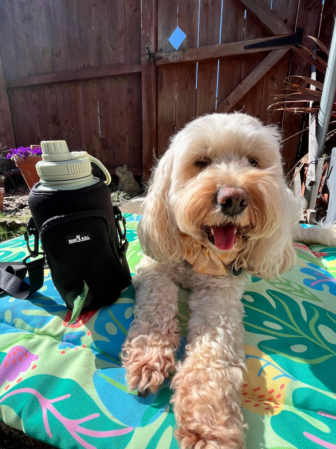 Customer photo review of The Bottle Buddy Bag