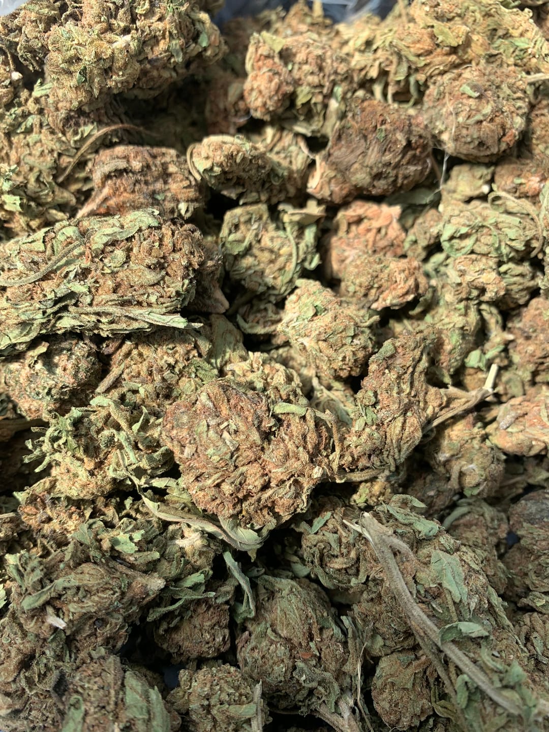 Customer photo review of Butterscotch OG - Bulk - Indica