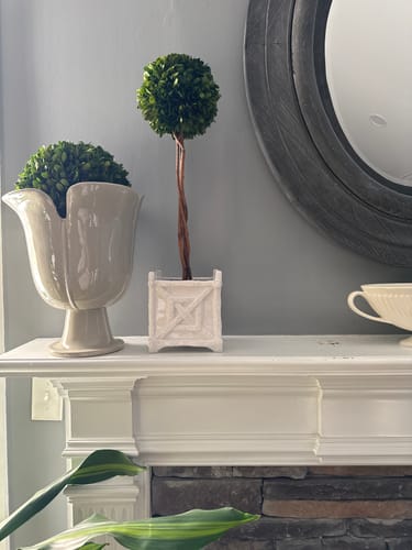 Customer photo review of Boxwood Single Sphere Topiary Drop-In