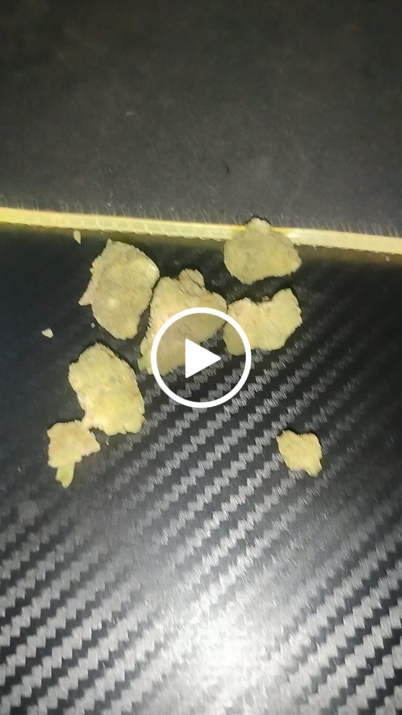 Customer video review of Gelato 45 - THCa Flower