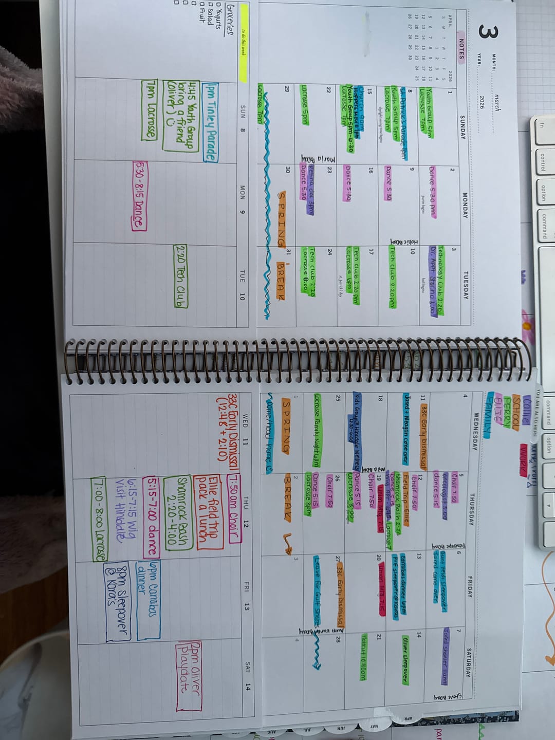 Customer photo review of 2026 | The Scout Planner | Lizzy's Stroll (portrait)