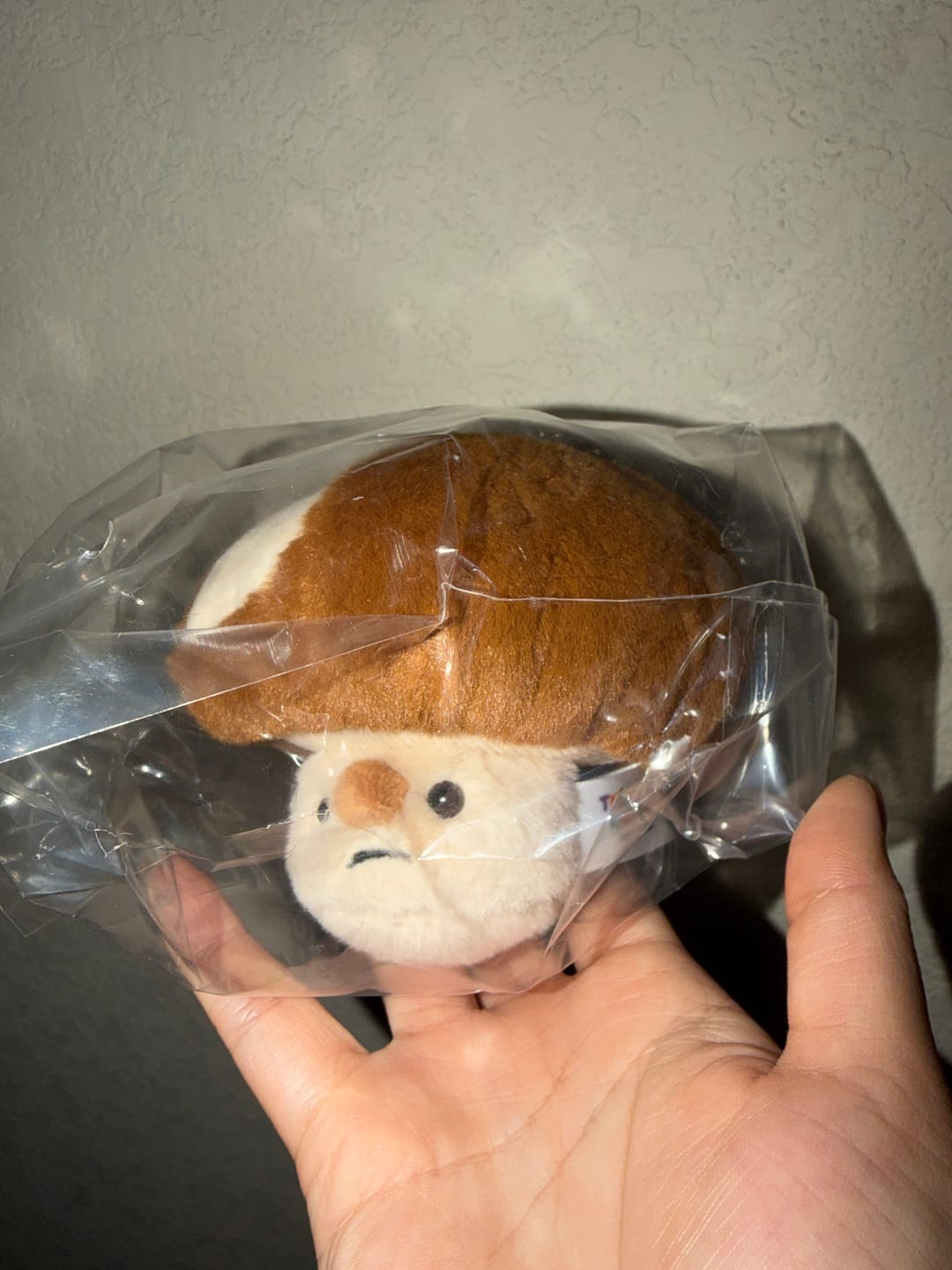 Customer photo review of Forgotten Bitten Shiitake Mushroom