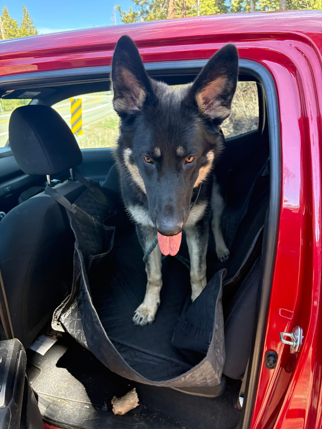 Customer photo review of NEW Waterproof Hard Bottom Car & Truck Seat Foldable Hammock Cover With Storage Pockets, Side Flaps, Headrest Straps, Seat Anchors, & Mesh Window (+FREE SAFETY BELT!)