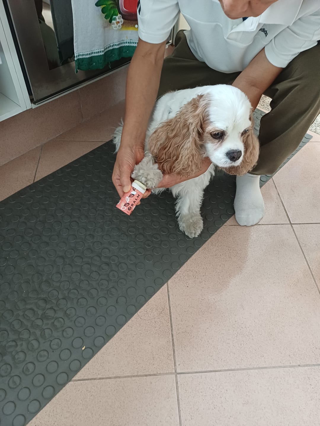 Customer photo review of Weasy Balm | Hidratante pet