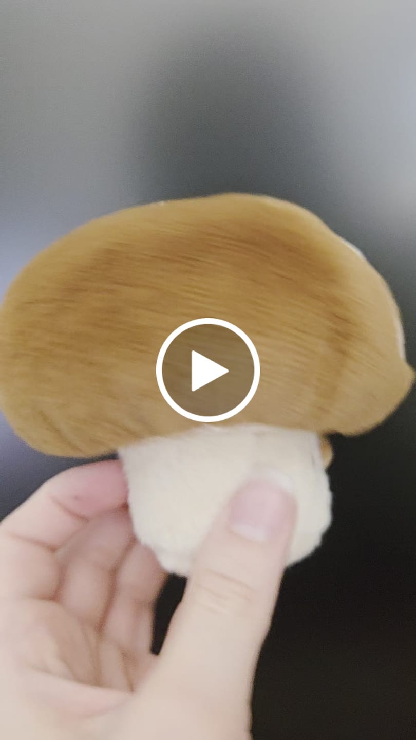 Customer video review of Forgotten Bitten Shiitake Mushroom (Preorder for Mid Feb)