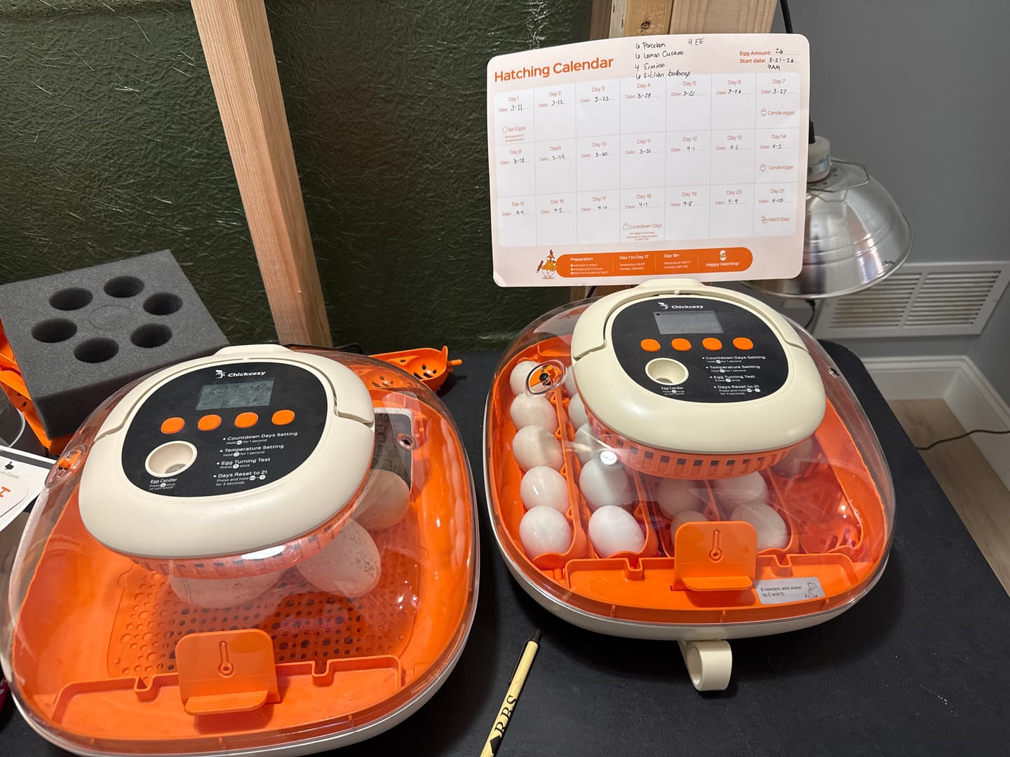 Customer photo review of Egg Incubator -25 Egg Capacity