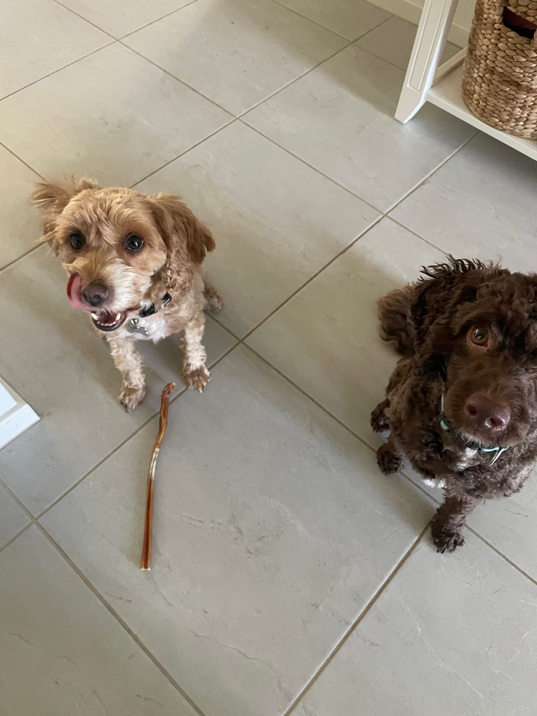 Customer photo review of Pizzle Stix (1kg pack)