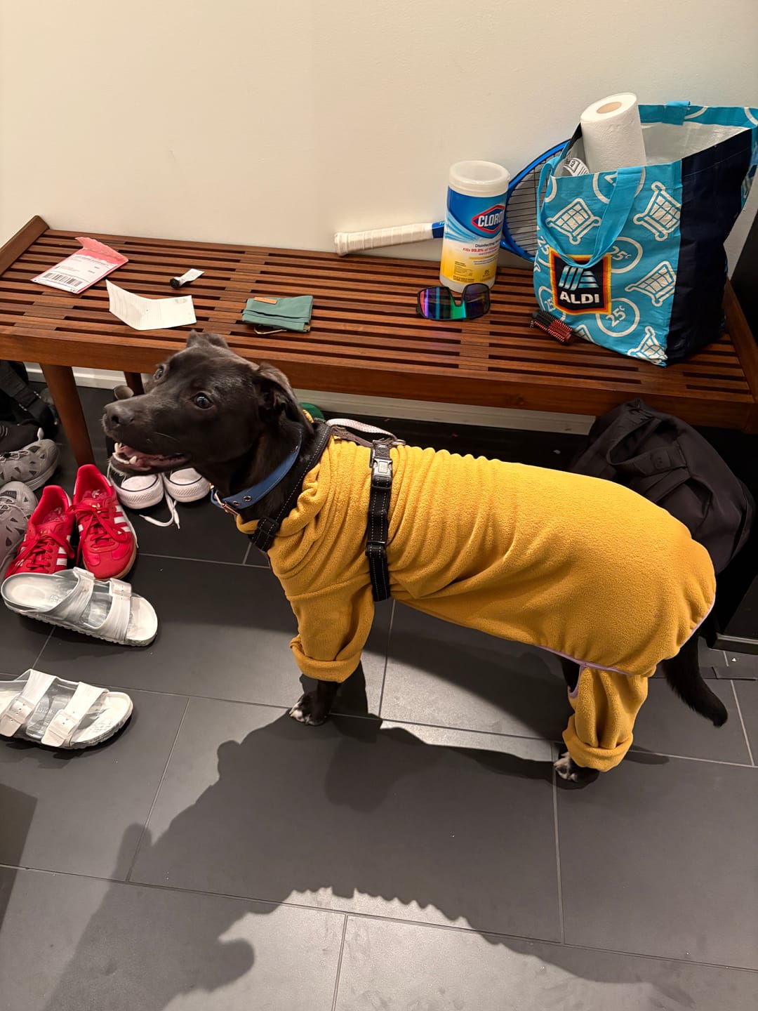 Customer photo review of NEW Fleece Pull-Over