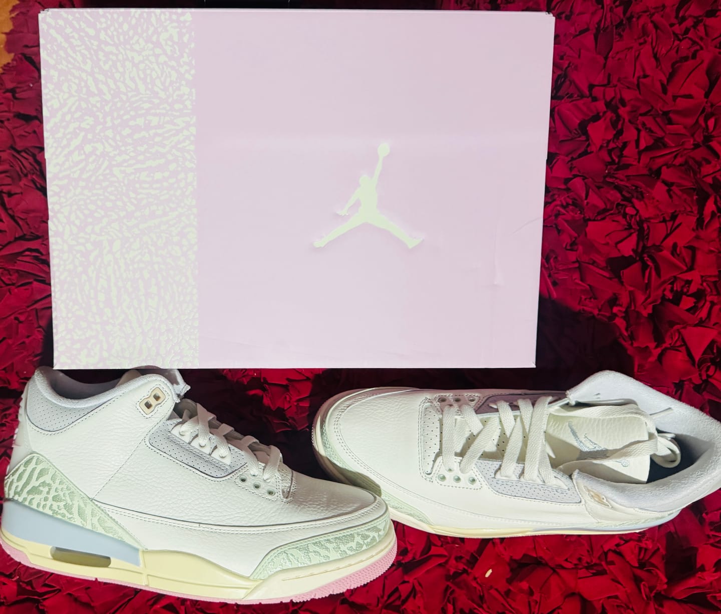 Customer photo review of Air Jordan 3 Retro "Spring is in the Air"