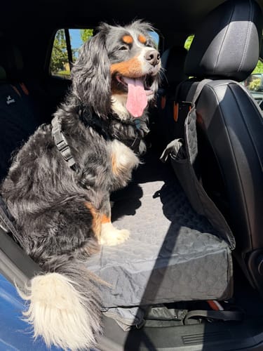 Customer photo review of RuffRover 2.0™ - Hard Bottom Dog Car Seat Protector