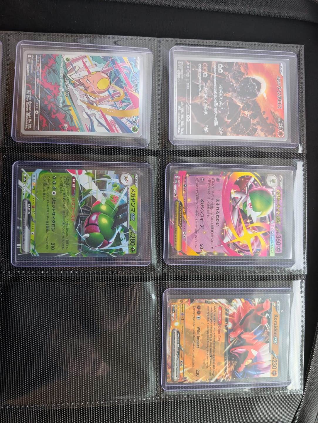 Customer photo review of Pokebundles Welcome Bundle