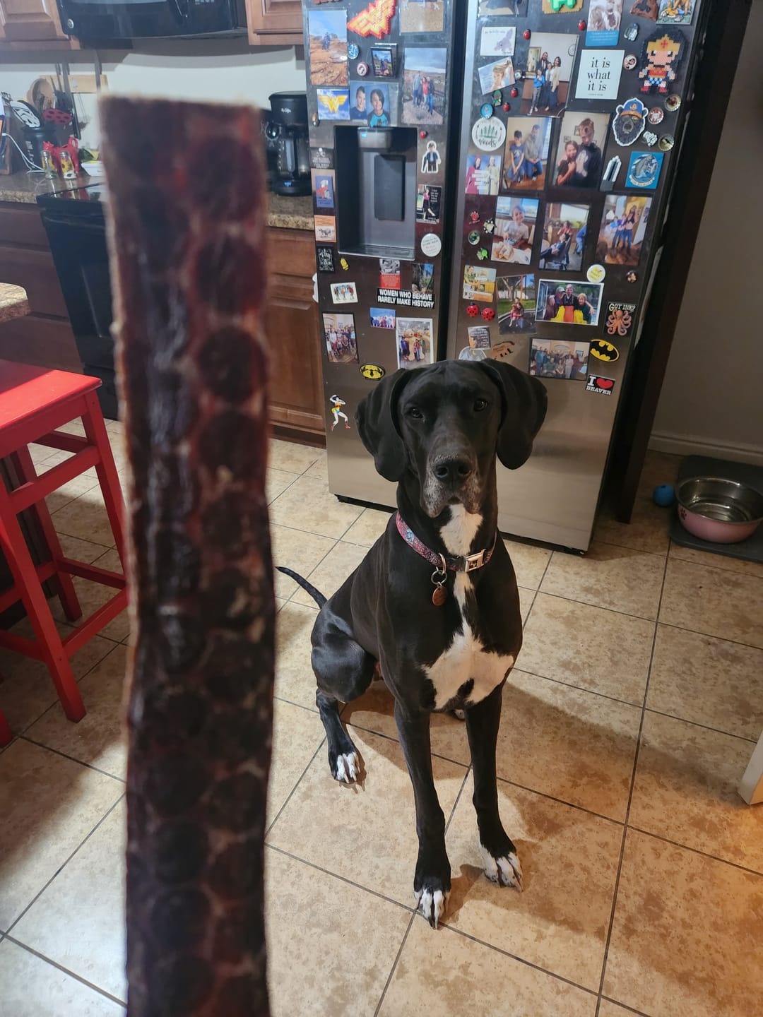 Customer photo review of 12 Inch Beef Jerky Strip