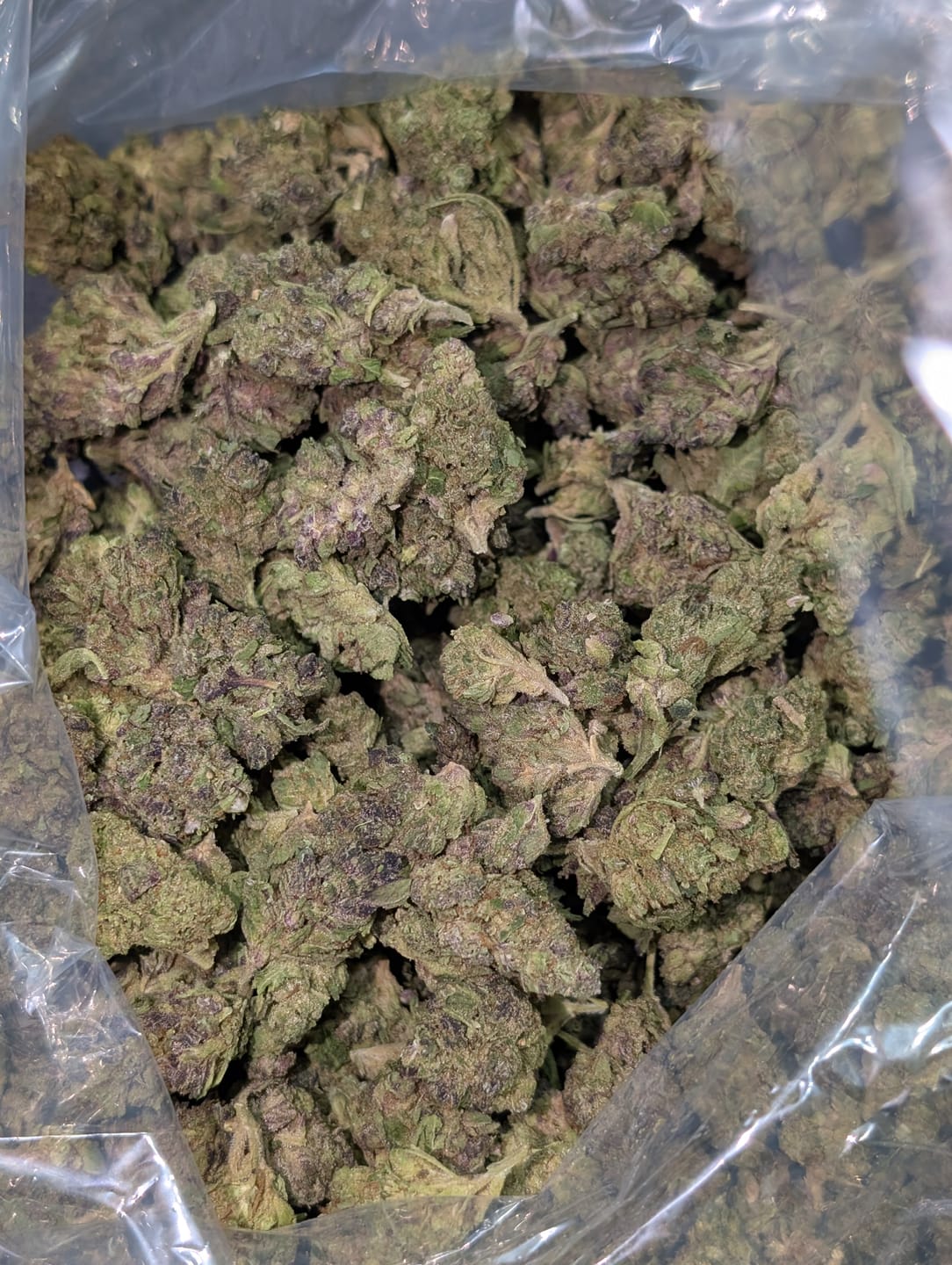 Customer photo review of Cherry Pie - Bulk - Hybrid