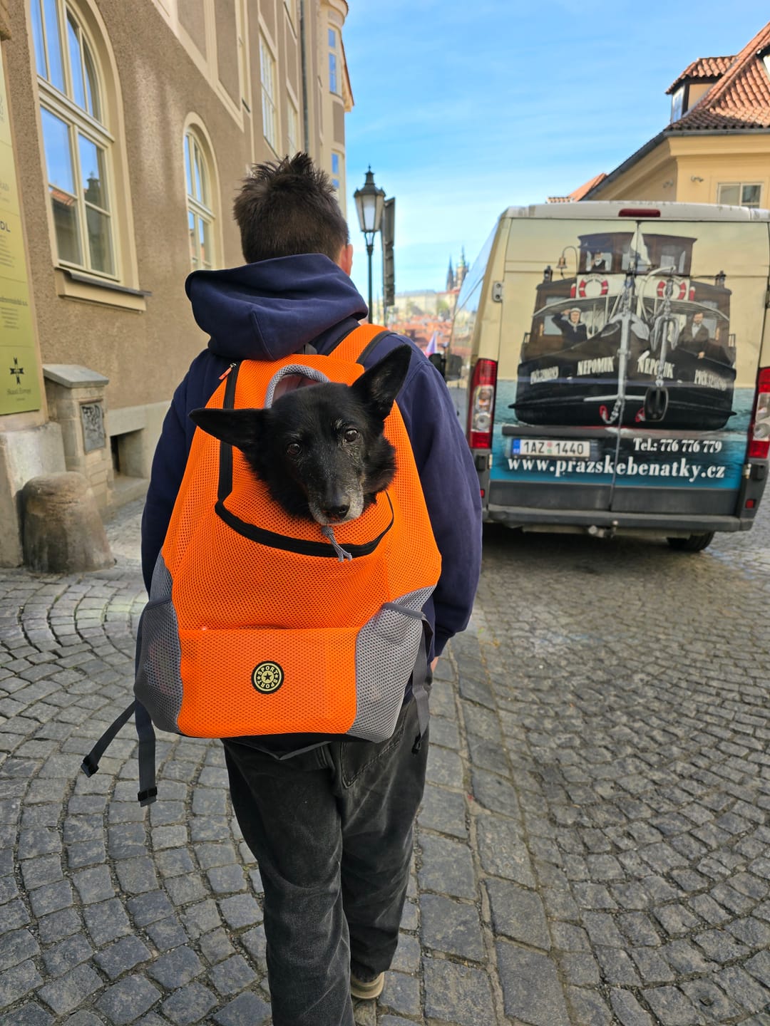 Customer photo review of Emmalove - Hunde-Rucksack