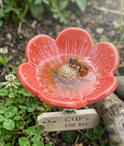 Customer photo review of La Pause des Abeilles®