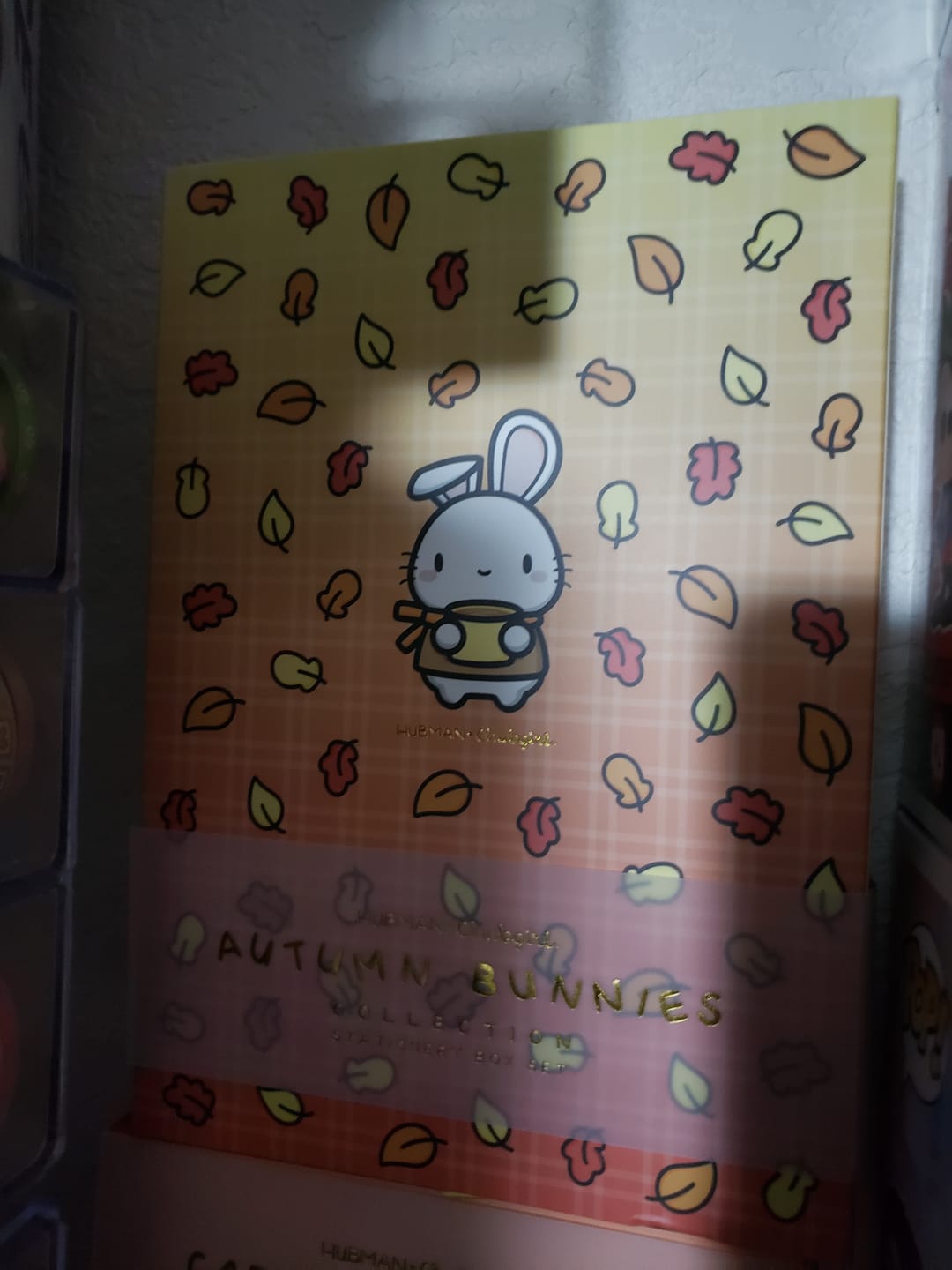 Customer photo review of Autumn Bunnies Box Set