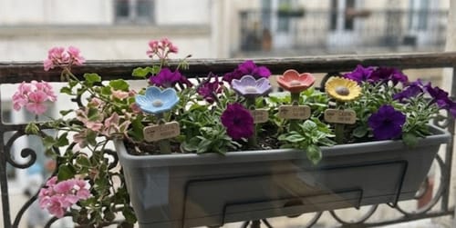 Customer photo review of La Pause des Abeilles®